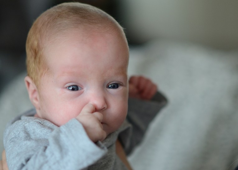 Paula Hesselink Fotografie